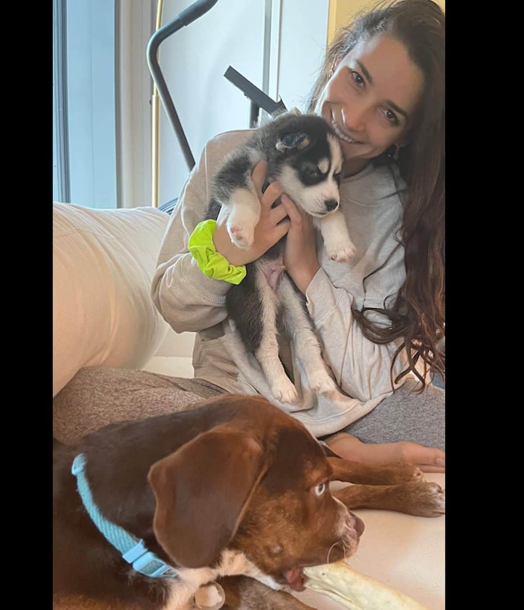 アリー・レイズマンのインスタグラム：「Puppies 🥰  Dusty & Mylo play date」