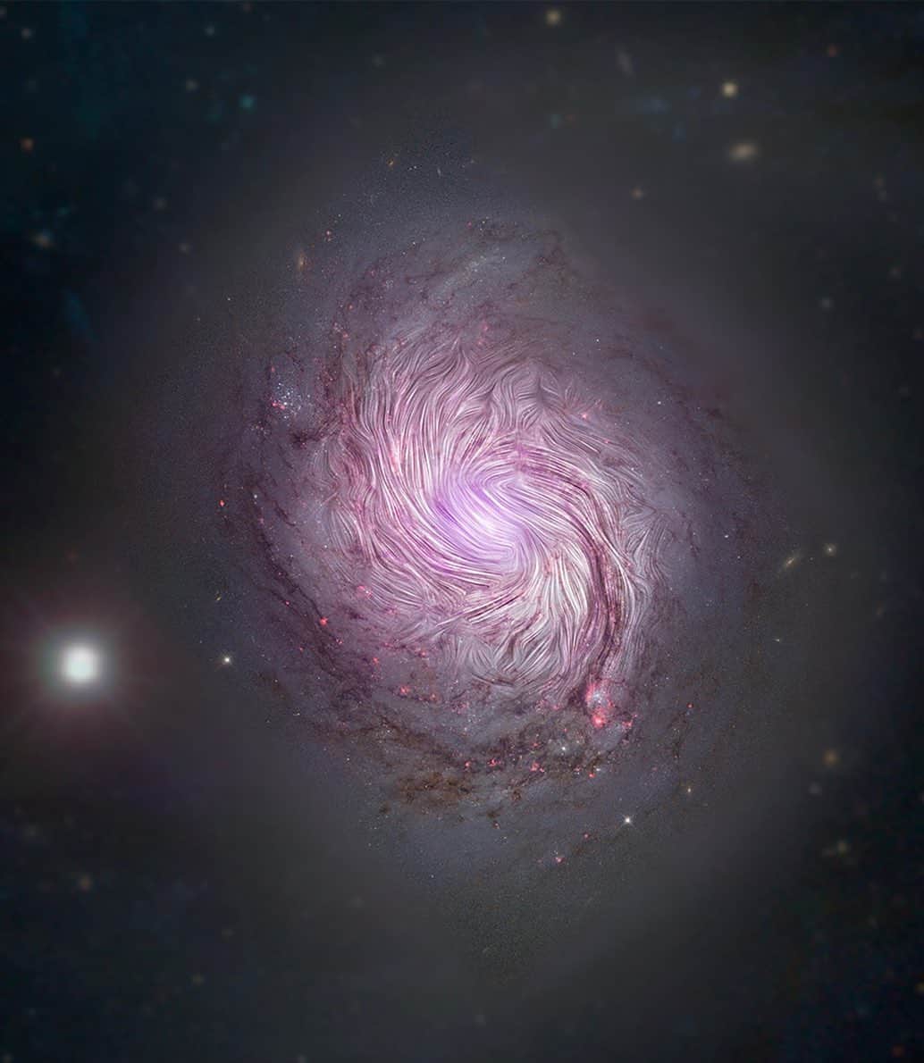 NASAのインスタグラム：「A wrinkle in time and space.  This mesmerizing image depicts magnetic fields in galaxy NGC 1068 as revealed by our Stratospheric Observatory for Infrared Astronomy (@sofiatelescope). SOFIA studied the galaxy using far-infrared light to reveal characteristics that previous observations using visible and radio telescopes could not detect. The fields align along the entire length of the massive spiral arms — 24,000 light years across — implying that the gravitational forces that created the galaxy’s shape are also compressing its magnetic field.  Gaze into the magnetic fingerprint of a galaxy 🌀✨  Credit: NASA/SOFIA; NASA/JPL-Caltech/Roma Tre Univ.  #Nasa #Galaxies #Magnetic #Fingerprint #Stars」