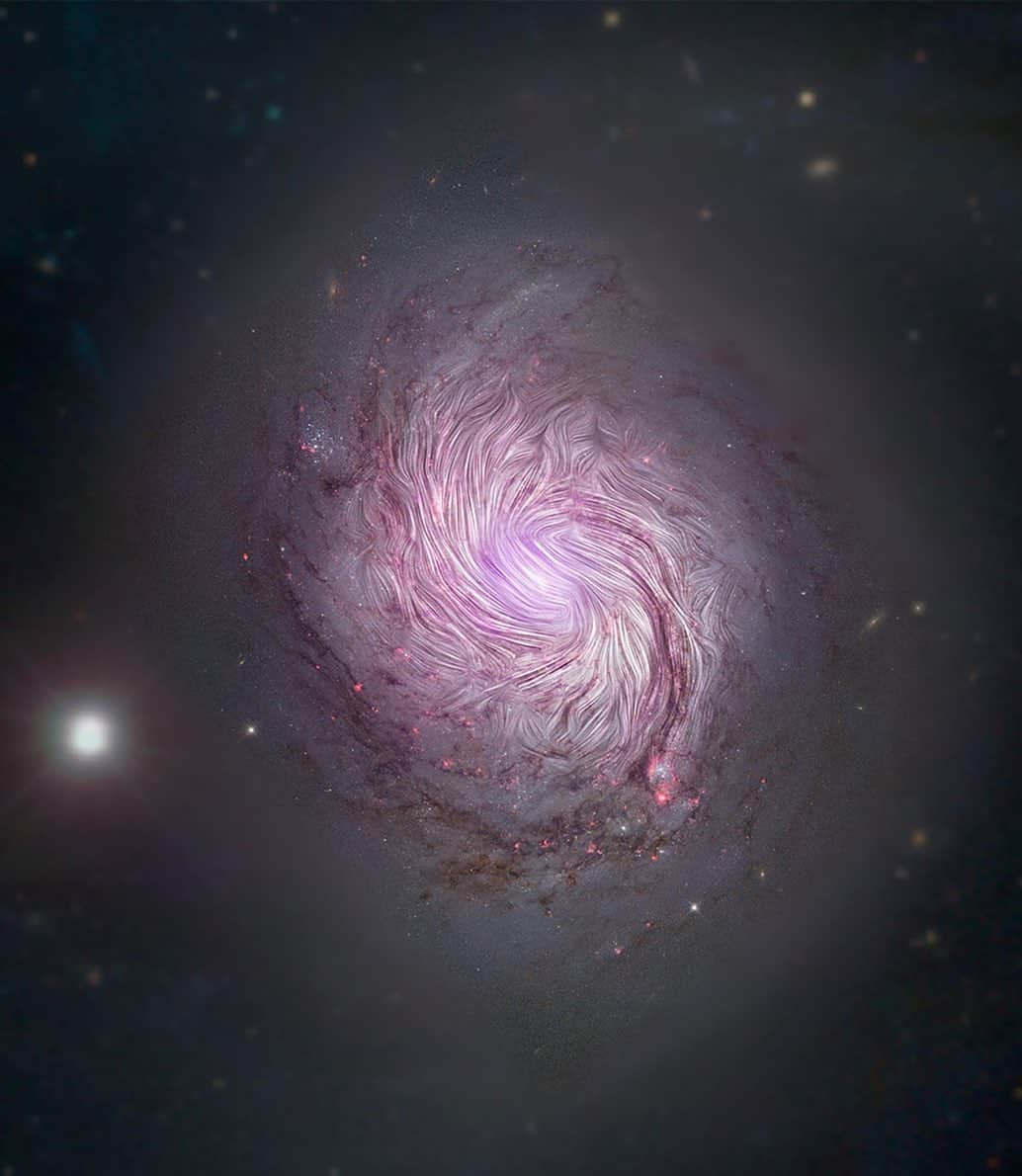 NASAさんのインスタグラム写真 - (NASAInstagram)「A wrinkle in time and space.  This mesmerizing image depicts magnetic fields in galaxy NGC 1068 as revealed by our Stratospheric Observatory for Infrared Astronomy (@sofiatelescope). SOFIA studied the galaxy using far-infrared light to reveal characteristics that previous observations using visible and radio telescopes could not detect. The fields align along the entire length of the massive spiral arms — 24,000 light years across — implying that the gravitational forces that created the galaxy’s shape are also compressing its magnetic field.  Gaze into the magnetic fingerprint of a galaxy 🌀✨  Credit: NASA/SOFIA; NASA/JPL-Caltech/Roma Tre Univ.  #Nasa #Galaxies #Magnetic #Fingerprint #Stars」12月29日 3時06分 - nasa