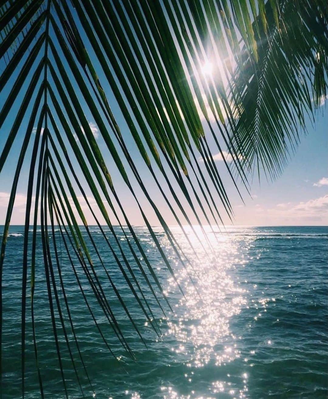 レインスプーナーのインスタグラム：「Some Monday blues courtesy of the talented @mattbruening. If you’re not able to make it to the beach, we suggest a visit to our website as our Huladay sale is in full swing. Link in profile.」