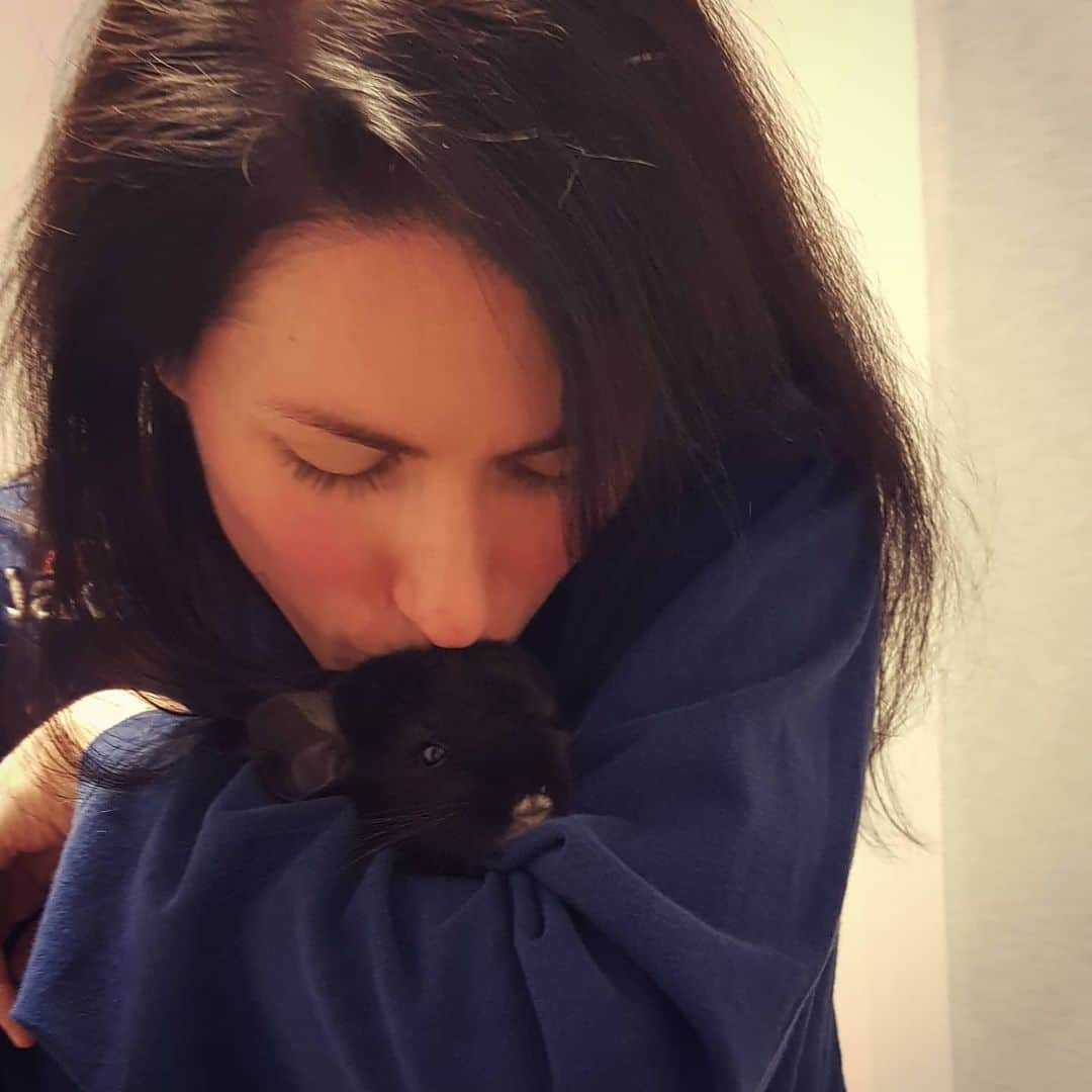 シャルレーヌ・ギニャールさんのインスタグラム写真 - (シャルレーヌ・ギニャールInstagram)「Notte 💤  #mylove #notte🌙 #goodnight #cincillà #chinchilla #kiss」12月29日 5時03分 - charleneguignard