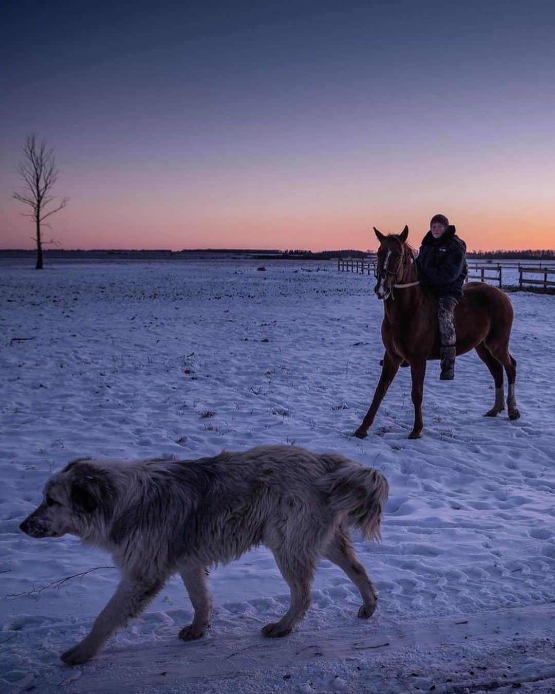 レオナルド・ディカプリオさんのインスタグラム写真 - (レオナルド・ディカプリオInstagram)「From the @nytimes: Climate change is propelling enormous human migrations, transforming global agriculture and remaking the world order. But for a few nations, climate change will present an unparalleled opportunity, as the planet’s coldest regions become more temperate.  There is plenty of reason to think that those places will also receive an extraordinary influx of people displaced from the hottest parts of the world as the climate warms. Human migration, historically, has been driven by the pursuit of prosperity even more so than it has by environmental strife. With climate change, prosperity and habitability — haven and economic opportunity — will soon become one and the same.  And no country may be better positioned to capitalize on climate change than Russia.  Russia has the largest land mass by far of any northern nation. It is positioned farther north than all of its South Asian neighbors, which collectively are home to the largest global population fending off displacement from rising seas, drought and an overheating climate. Like Canada, Russia is rich in resources and land, with room to grow. And whether by accident or strategy (or some combination of the 2), the steps its leaders have steadily taken have increasingly positioned Russia to regain its superpower mantle in a warmer world.   The lyrics to Russia’s modern anthem suggest that at least some of its leaders have anticipated this moment: “Wide spaces for dreams and for living are opened for us by the coming years.”  For 2 years, the reporter Abrahm Lustgarten has been documenting a great global climate migration that is already underway. Tap the link in the @nytimes bio to read this final installment of a 3-part series for @NYTMag and ProPublica, in which he focuses on the country that benefits the most — Russia. Photos by @sergeyponomarev」12月29日 5時15分 - leonardodicaprio