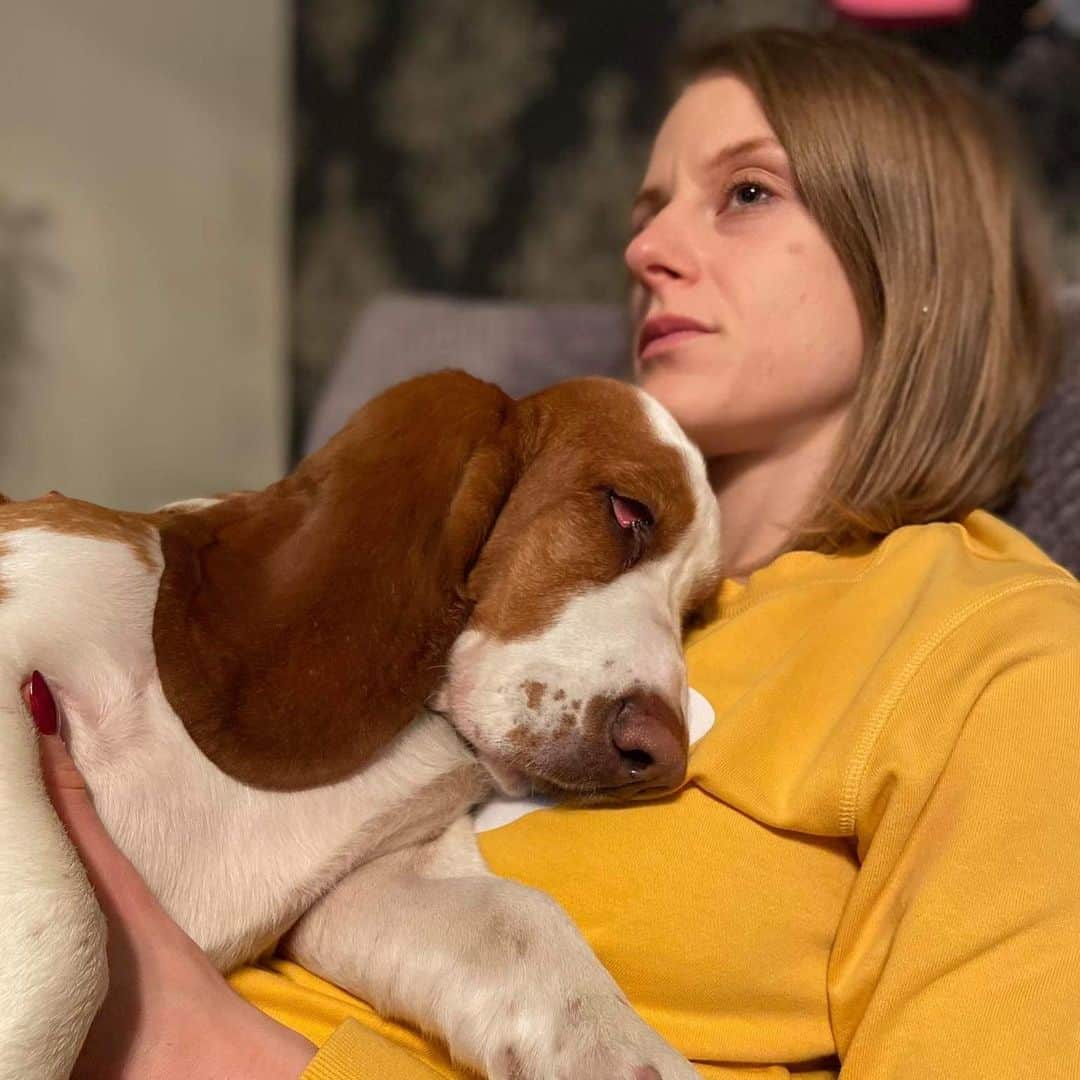 Patrycja WYCISZKIEWICZさんのインスタグラム写真 - (Patrycja WYCISZKIEWICZInstagram)「Lazy, winter evening... 😴🥱☺️ #dog #bassethound #evening #home #love #doglover #dogsofinstagram #doglife #couch #winter @figa_basset_hound」12月29日 5時20分 - patrycjawyciszkiewicz