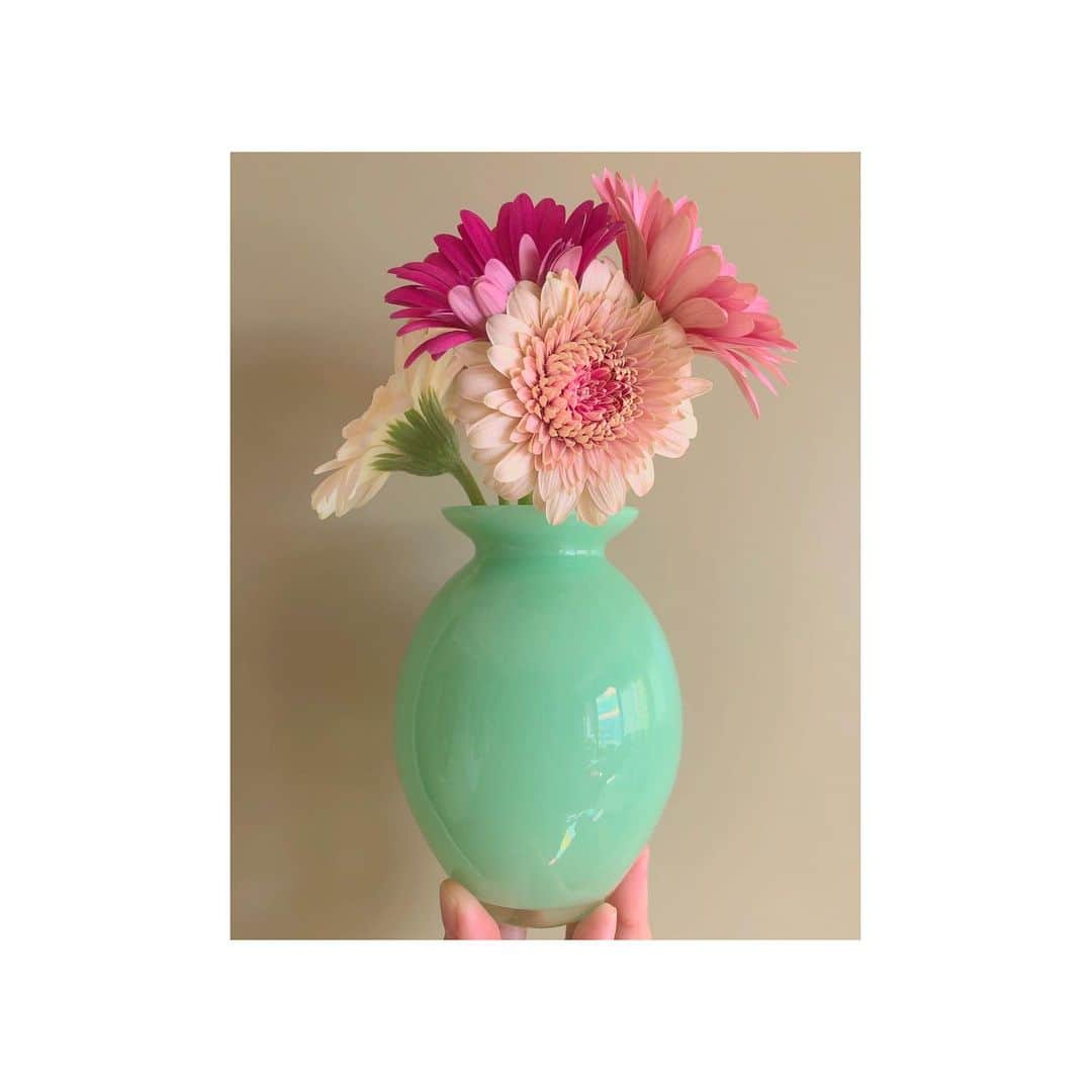 のインスタグラム：「#1000hana  . . . #gerbera#flowers  #ガーベラ#花」