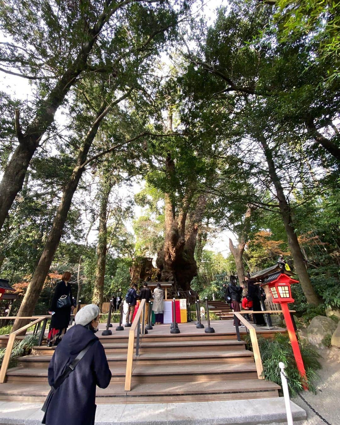 吉岡麻由子さんのインスタグラム写真 - (吉岡麻由子Instagram)「#来宮神社  #パワースポット #大楠#御神木  #姉と。  #お抹茶で一服」12月29日 16時19分 - mayuko.1017