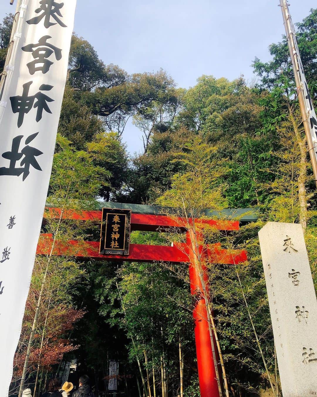 吉岡麻由子のインスタグラム：「#来宮神社  #パワースポット #大楠#御神木  #姉と。  #お抹茶で一服」