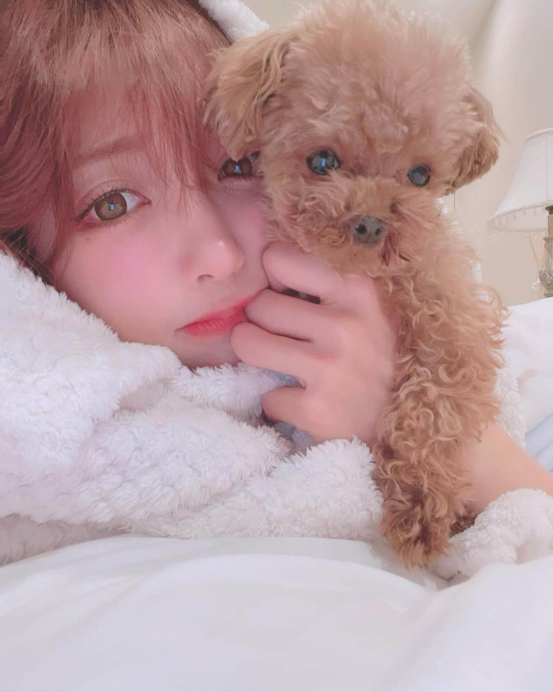 明日花キララのインスタグラム：「冬は寒いので湯たんぽで乗り切ります❄️☃️ #専属湯たんぽ 🐶 #もうすぐ3ちゃい 🤟」