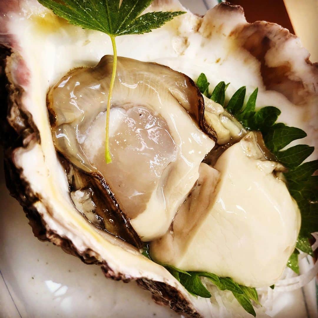 JOJO（ものまね）さんのインスタグラム写真 - (JOJO（ものまね）Instagram)「今年も美味しいお寿司を ありがとうございました( *´꒳`*)✨ . 大将🍣来年もどうかお元気で💓 . #jujuのそっくりさんjojo #寿司 #寿司大好き #寿司🍣 #寿司好き #寿司屋 #寿司好きな人と繋がりたい #寿司スタグラム #寿司ネタ #寿司食べたい #鮨 #鮨スタグラム #鮨好き #鮨好きな人と繋がりたい 🍣✨#寿司職人 #寿司めいじん #寿司ネタ #寿司部 🍣✨#大将 #長生きしてね ♬#グルメ #グルメ好きな人と繋がりたい #グルメスタグラム #グルメ女子 #グルメな人と繋がりたい #グルメ巡り #グルメ旅 #グルメ好き #グルメ好きと繋がりたい #東京グルメ #東京グルメ部 ❤」12月29日 16時32分 - jojo_monomane