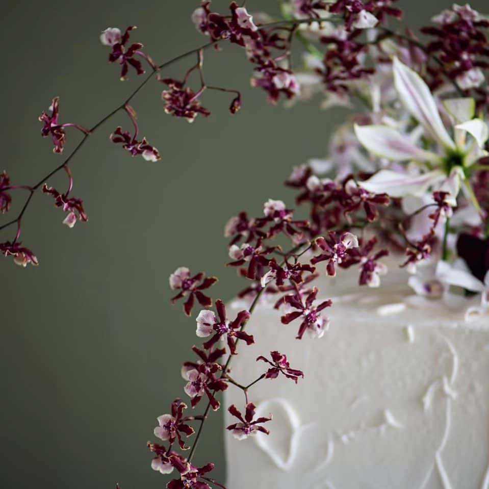 MJQ WEDDINGさんのインスタグラム写真 - (MJQ WEDDINGInstagram)「. . . . 【 Wedding Cake :Art Floral 】 . dress :  @the_lovel_costume  tuxedo:  @roh_pr flower: @flower_the_lovel  ・ ・ ・ 【公式HP限定/組数限定】     スペシャルフェア受付中         ▼充実のフェア内容▼        　………………………………………………………  ・ゲストハウスウェディング【貸切】をゲスト目線で体感       ・シェフ厳選「美味和牛／旬野菜／デザート」無料試食♪♪      ・FIVESTAR WEDDING★★★★★２タイプのパーティ会場も体験     ・タキシードも充実「THE LOVEL」 ドレスサロン見学     ・【不安解消】じっくりお見積相談         ・ご来館プレゼント　大好評 「ＥＮＧＩＹＡ　スパイスセット」  　………………………………………………………  ▼インスタ特別特典▼        　「インスタをみて…」とお電話　or　公式HPに一言そえて    ご予約いただいた新郎新婦様へ   　　　↓     【WEB　オリジナル選べるギフト】 カードプレゼント！！       　フリーダイヤル：0120-17-8855    　公式ＨＰ：https://fivestarwedding-sendai.com/hall/gh/         お気軽にお問い合わせください♪ お待ちしております。   ・  ・ ・ ・ 【Wedding salon】 宮城県仙台市青葉区国分町3丁目11-1F ☎︎022-722-7262 ➿0120-17-8855 FAX (022)-215-3514 ▼▼▼HP/お問い合わせはプロフィールから▼▼▼ @gran_suite_fivestarwedding  ぜひお気軽にお問い合わせください ・ ・ open▶︎11:00a.m.(平日) close▶︎19:00p.m.(平日)  . ※新型コロナの影響により営業時間を変更しております . open▶10:00a.m.(土日祝日) close▶19:00p.m.(土日祝日) . 休館日▶︎毎週　火曜日/水曜日 ・ ・ #beat_corona_with_wedding #wedding#fivestarwedding #定禅寺ガーデンヒルズ迎賓館 #結婚式#bridal#ウェディング #仙台#sendai #仙台花嫁 #プレ花嫁#プレ花婿#結婚式準備 #ファイブスター#定禅寺通り #ゲストハウスウェディング仙台 #仙台駅近ウェディング」12月29日 17時02分 - gardenhills_fivestarwedding