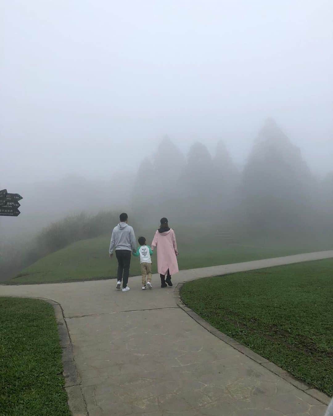 ビビアン・スーさんのインスタグラム写真 - (ビビアン・スーInstagram)「今天擎天崗的霧好濃，也別有一番風味，只可惜只看到一隻牛⋯ #擎天崗」12月29日 16時57分 - vivianhsu.ironv