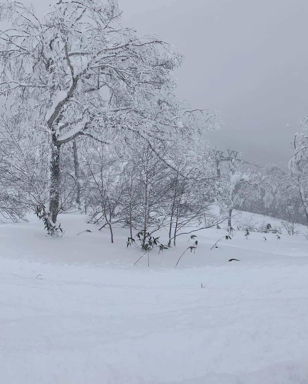 翁安芸さんのインスタグラム写真 - (翁安芸Instagram)「Powder day on the mountain☃️🚡🏂❄️   雪が降ってパウダースノーな日。しっかり防寒していますが、滑っていると暑いくらい💦  #snowboarding #tomamu #hokkaido #akiweng #翁安芸 #taionextra #bogner」12月29日 9時38分 - akinyc