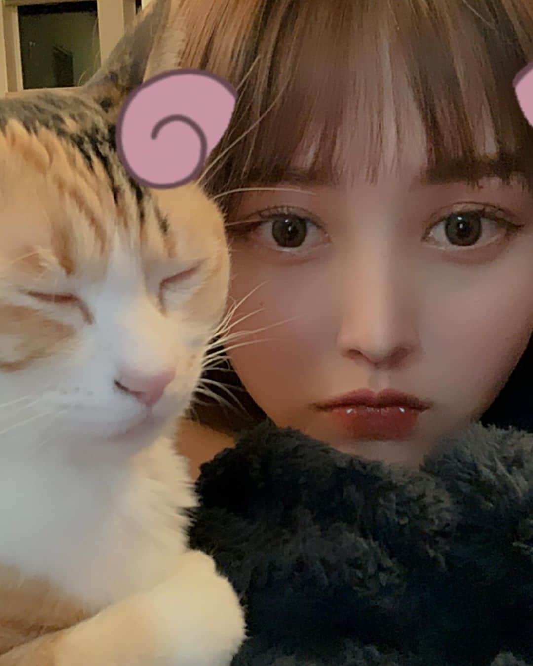 のインスタグラム：「🍤🍤🍤」