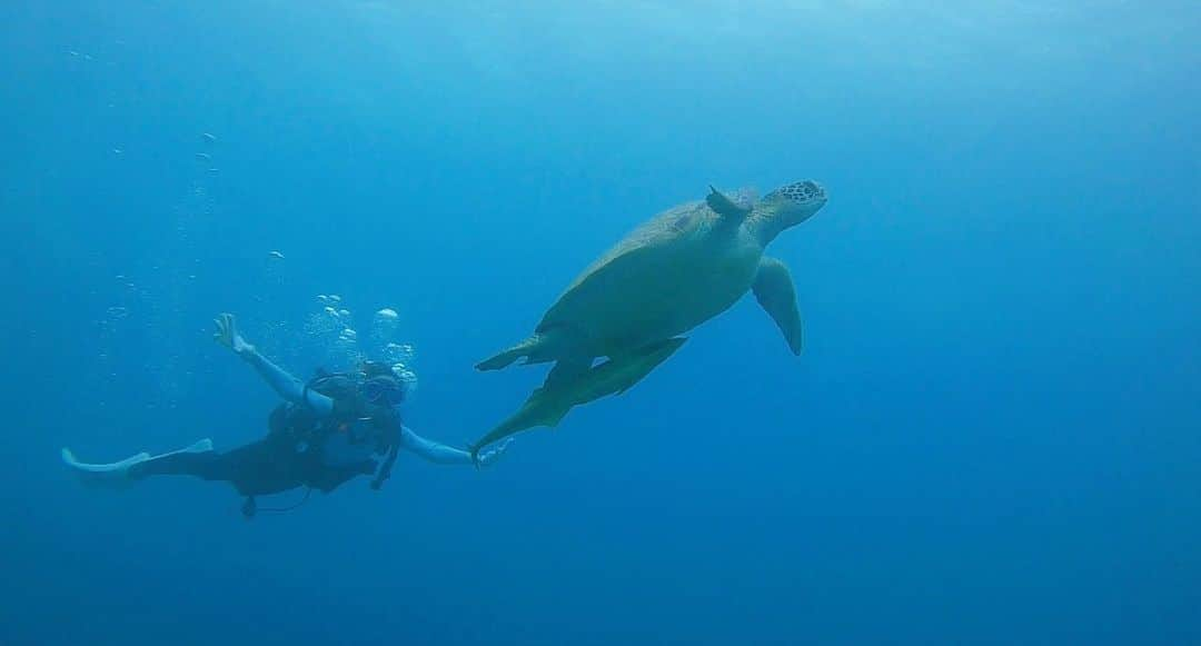 永山飛鳥のインスタグラム