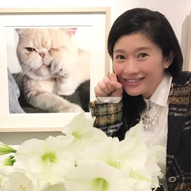 篠原涼子のインスタグラム：「#篠原涼子」