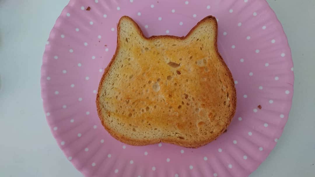 のインスタグラム：「今年もあと数日だなんて 何だかあっというま、、！！  東京ねこねこのパン🐱🐱  にゃんとも可愛い💠」