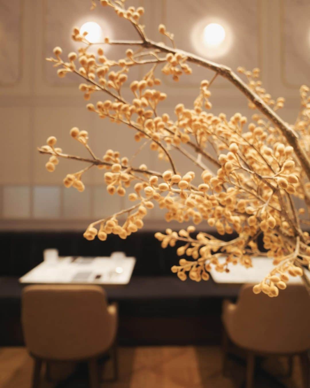 島野ミキのグルメインスタ