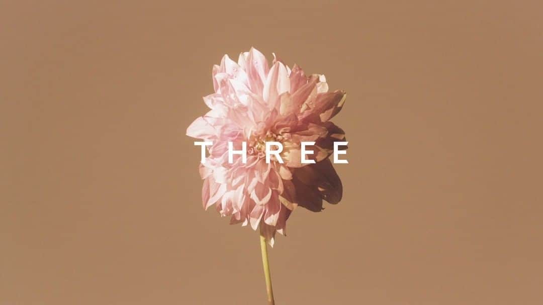 THREEのインスタグラム