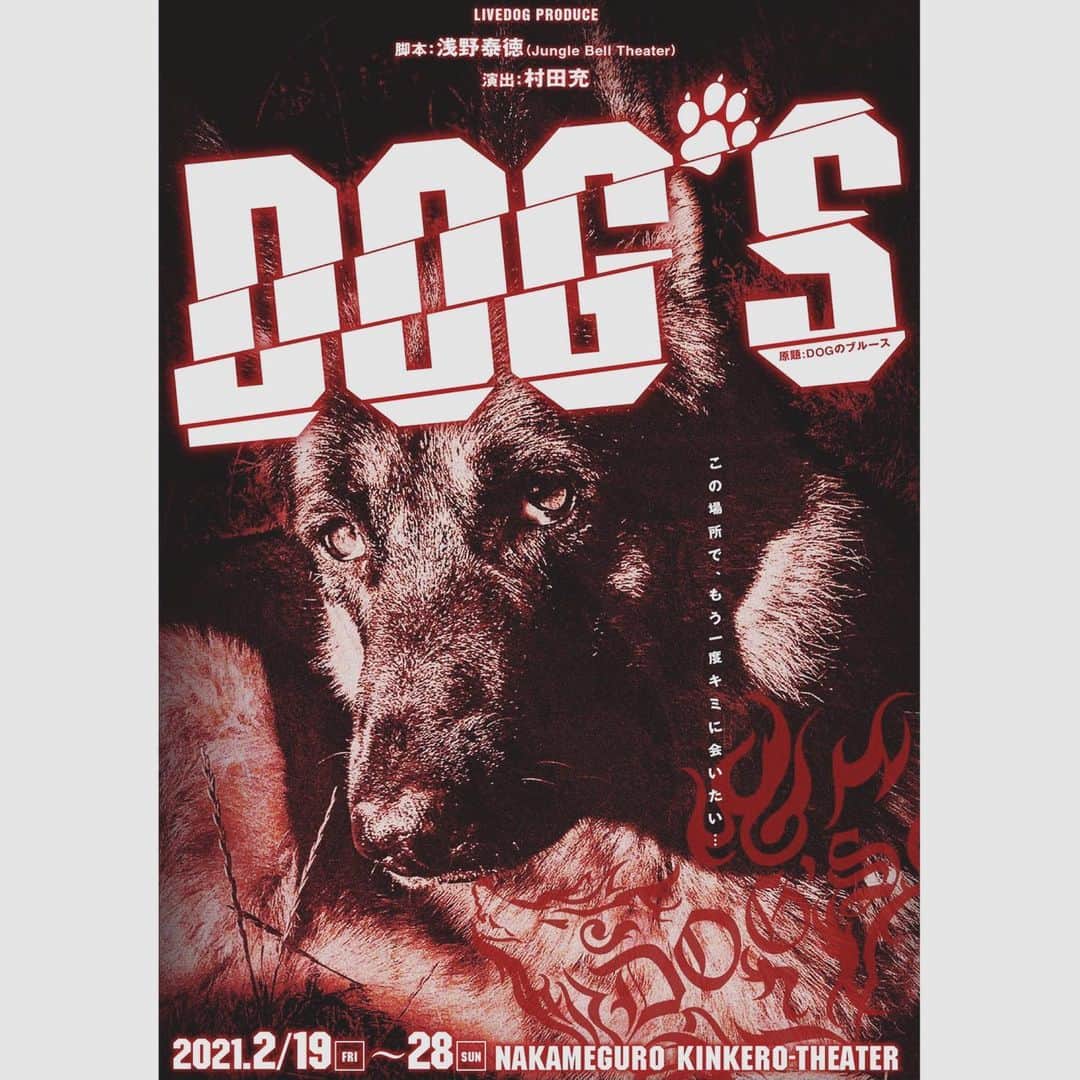 和久井雅子のインスタグラム：「【お知らせ】 来年の2月に舞台「DOG'S」に出演させて頂くことになりました✨ このような状況なのでどうかご無理はなさらず 私達も最大限の対策と準備をしてお迎えします。 宜しくお願い致します(*^^*)  LIVEDOG Produce 「DOG'S」  【脚本】浅野泰徳(Jungle Bell Theater) 【演出】村田充 【日程】2021年2月19日(金)～28日(日) 【劇場】中目黒キンケロ・シアター  ＜公式ＨＰ＞ https://livedog.net/dogs2021/  ＜出演＞ ※Ｗキャスト制 [TeamBONE(ボーン)] 栗原大河　吉川日菜子 小原卓也　戸舘大河　佐竹真依　小松大介 和久井雅子　成田圭吾　安孫子大輝　森由姫 石井未来　郡司敦史　香嶋めぐみ　近澤智 仙波好基　國井紫苑　椎名恭子　神谷文子  [TeamJERKY(ジャーキー)] 足立英昭　熊手萌 三本木大輔　尾形大吾　都筑あやめ　阿部シコウ 野々山さくら　飛山竜太　乙木勇人　眞砂佳奈子 あいなっつ　まさや　山本芽生　藤井雅文 田中亮　用田チカ　小野里茉莉　ししどりう  ＜スケジュール＞ 2月 19日(金) 　14時[Ｊ]◆ ／ 19時[Ｂ] 20日(土) 　13時[Ｂ] 　／ 18時[Ｂ] 21日(日) 13時[Ｊ] 　／ 18時[Ｊ] 22日(月) 19時[Ｂ]★ 23日(火祝) 13時[Ｂ] 　／ 18時[Ｊ] 24日(水) 　19時[Ｊ]★ 25日(木) 14時[Ｊ]◆ ／ 19時[Ｂ]★ 26日(金) 14時[Ｂ]◆ ／ 19時[Ｊ]★ 27日(土) 13時[Ｊ] 　／ 18時[Ｊ] 28日(日) 12時[Ｂ] 　／ 16時[Ｂ]  ※[Ｂ]＝TeamBONE公演 [Ｊ]＝TeamJERKY公演 ※開場は開演の30分前、当日券販売は開演1時間前より。 ※◆印は前売・当日共に一般A席料金が4500円です。 ※★印は終演後にトークイベントを開催します。 ※上演時間は約110分を予定しております。  ＜ストーリー＞ もう二度と会えないとは思うけど… ここで待っててやりたいんだ、あいつの事。 -------------  時は昭和50年代、犬たちがまだ人間達と緩やかな距離を保ちつつ、 ある程度は自由に暮らしていられた頃の物語。  とある、うら寂れた港町。 そこには、実にさまざまな犬たちが、それぞれの物語を抱えて、その港町に暮らして いました。 そんな海の見える町の小さな空き地に、一匹の大きな犬が住んでいた。名前は「ブ ルース」。 彼はその場で心に鍵をかけて、飼い主が戻ってくるのをただひたすら待っている。 もう二度と会えないかもしれないのに… 大切なこの場所でただひたすら飼い主を信じて。  ＜チケット＞ 2021年1月9日(土)午前10時より発売！  【Ｓ席】7800円 【Ａ席】前売：5800円 (当日：6300円) 【平日昼割】Ａ席：4500円 【ガク割】Ａ席：3800円 (数量限定) ※各席種のご説明は公式サイトにてご確認ください。  ＜チケット予約・販売＞ https://ticket.corich.jp/apply/110488/7/  ＜チケットのお問合せ＞ 制作部(Rebel Group) [PHONE] 080-2332-6670（平日11～19時） [MAIL] info@rebel-group.jp  【主催】LIVEDOG株式会社  #DOGS2021 #舞台」