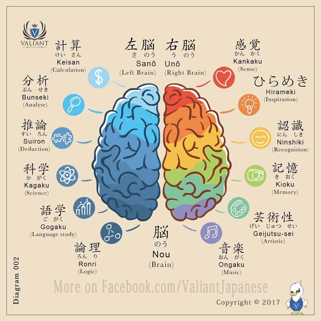 Valiant Language Schoolさんのインスタグラム写真 - (Valiant Language SchoolInstagram)「・ 🖌: @valiantjapanese ・ ⛩📓: Simple Japanese: Brain Works 🧠 . Let’s study Japanese with ValiantJapanese ! . . . . . . . . .  #japón #japonês #japaneselanguage #japones #tokio #japan_of_insta #japonais #roppongi #lovers_nippon #igersjp #ig_japan #japanesegirl #Shibuyacrossing #日本語 #漢字 #英語 #ilovejapan #도쿄 #六本木 #roppongi #日本  #japan_daytime_view  #일본 #Япония #hiragana #katakana #kanji #tokyofashion」12月29日 12時24分 - valiantjapanese