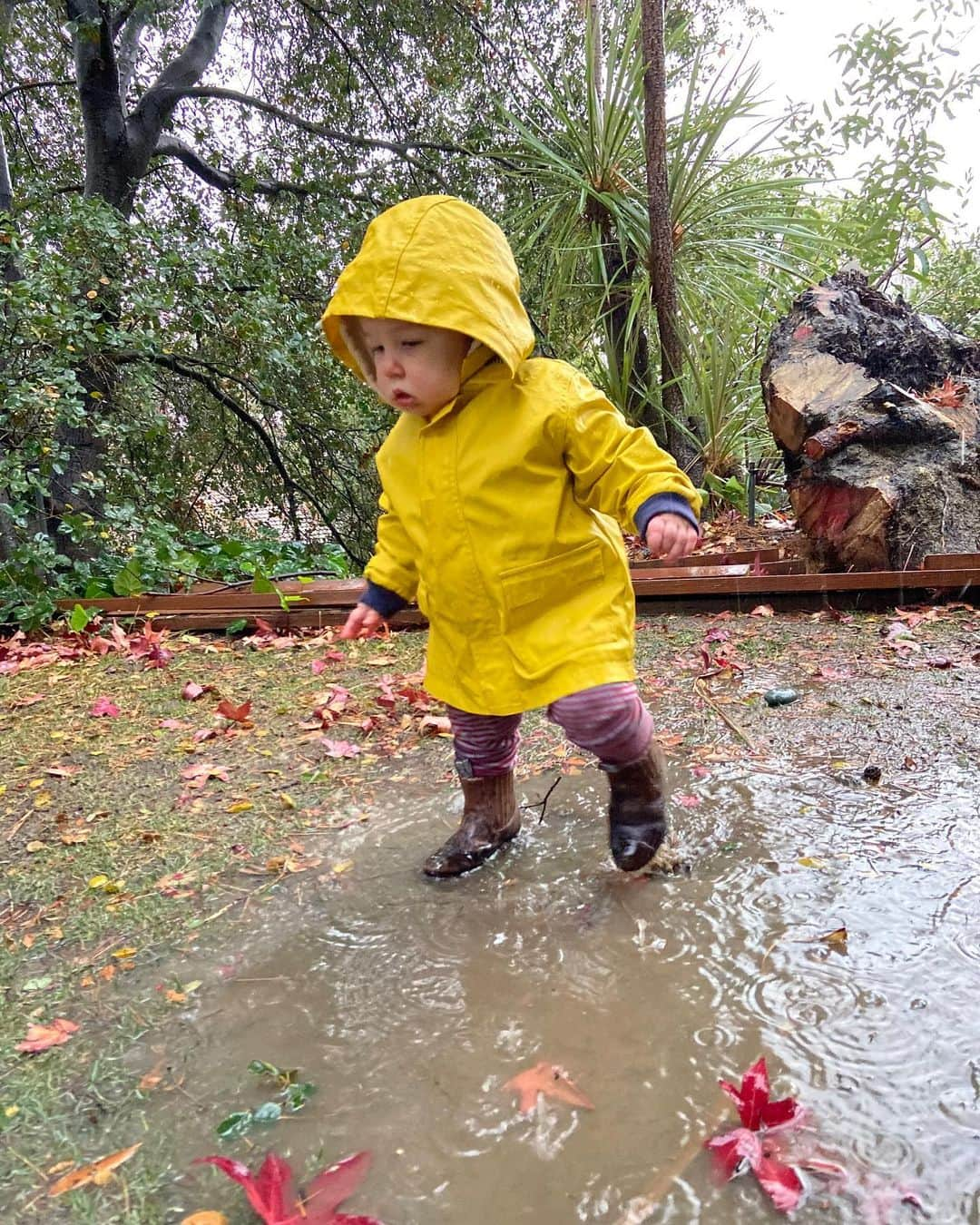 マラ・ロザックさんのインスタグラム写真 - (マラ・ロザックInstagram)「☔️Pretty sure this was Elio’s first rain experience. Insane right? He was so surprised to feel water on his little face when he looked up at the sky. So thankful for this rain. Keep it coming!」12月29日 12時54分 - mararoszak