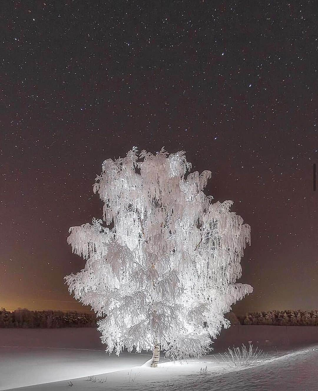 Wonderful Placesさんのインスタグラム写真 - (Wonderful PlacesInstagram)「The Crystal tree ✨😍😍❄️❄️✨ . 📷 by ✨✨@pashenichev✨✨ #wonderful_places for a feature ❄️💙」12月29日 13時44分 - wonderful_places