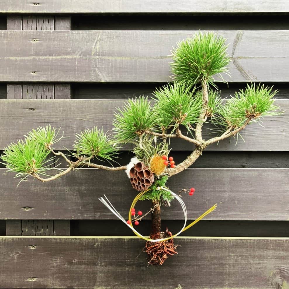 MILLE ECLAT.のグルメインスタ