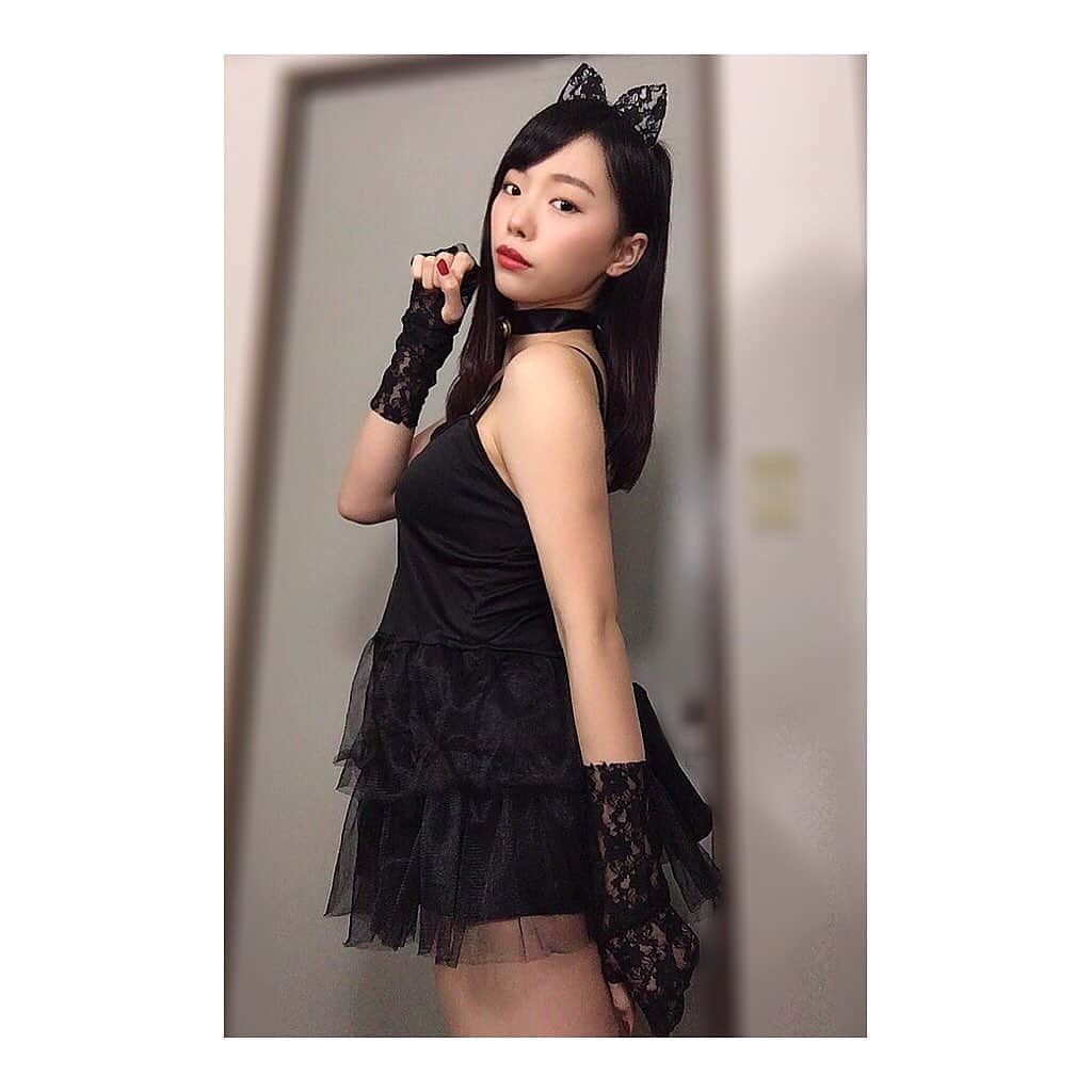 波妃美咲のインスタグラム：「ネコちゃん🐈  #ネココスプレ  #ねこのいる生活」