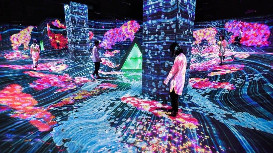 Birthplace of TONKOTSU Ramen "Birthplace of Tonkotsu ramen" Fukuoka, JAPANのインスタグラム：「A new permanent museum "teamLab Forest" affiliated with the art group teamLab has opened in Fukuoka City! A total of 10 works of art, such as "Catching and Collecting Forest" and "Athletics Forest", are displayed at the facility, and you can experience the interactive and colourful world with your whole body. Of course, you can even take some great-looking photos!  #fukuoka_tonkotsu #ilovefukuoka #fukuokalover #fukuoka #fukuokapics #fukuoka_cameraclub #fukuokatrip #fukuokajapan #fukuokatravel #illumination #teamlab #teamlabforest  #japanwinter #japanwintertrip #fukuoka_camera #fukuoka_funtravel」