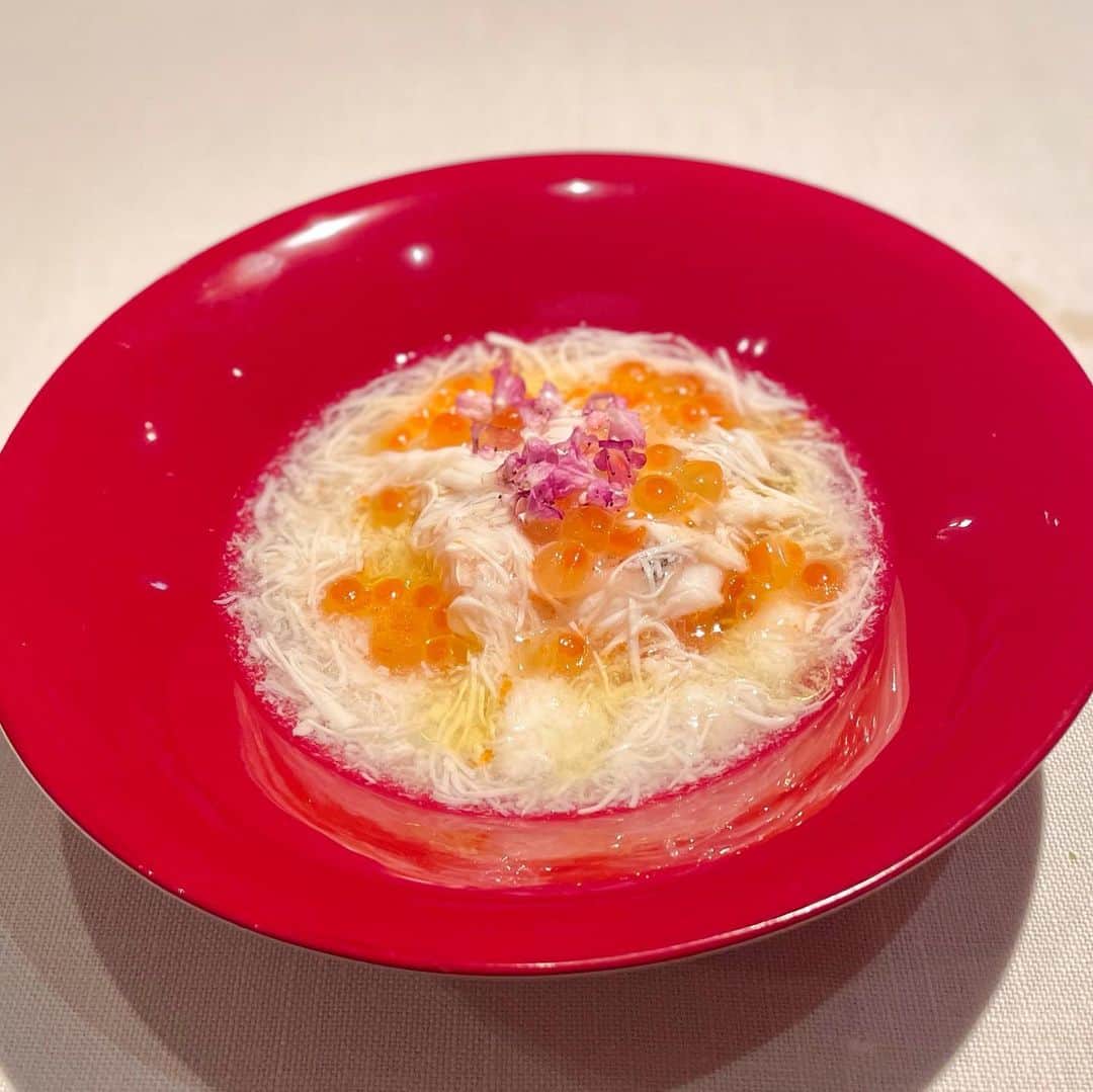 下田奈奈さんのインスタグラム写真 - (下田奈奈Instagram)「*﻿ 全てのお料理が本当においしくて細部まで﻿ 盛り付けやストーリーも凝ってて感動…🌳🐿🌲🌰 ﻿ ﻿ 🍶と🍷mixのペアリングも幸せだった〜🤍 ﻿ ﻿ #narisawa ﻿ #青山レストラン ﻿ #クリスマスディナー ﻿ #クリスマスディナーコース ﻿ #日本酒とワインのペアリング #イノヴェーティブフュージョン」12月29日 15時20分 - shimodanana