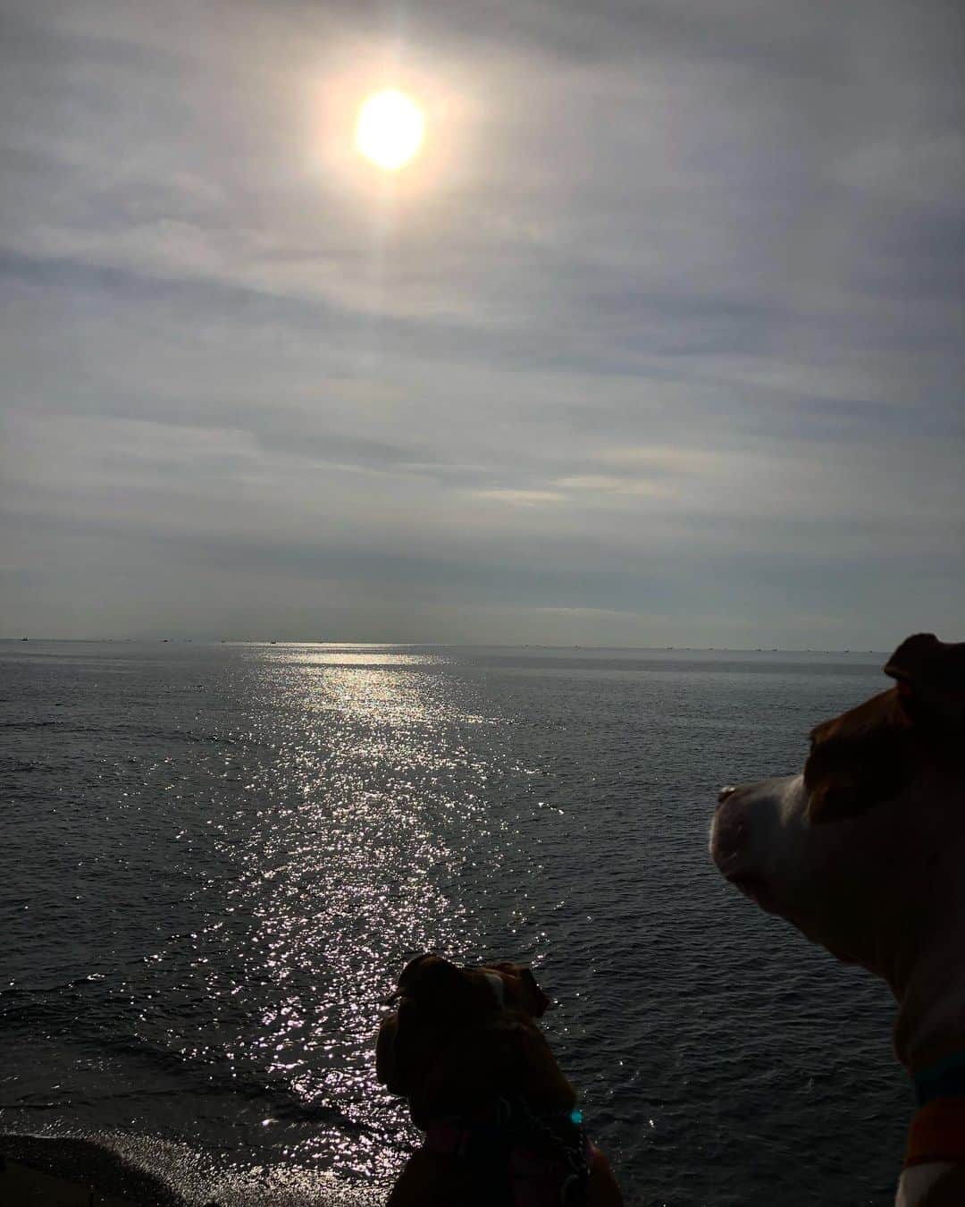 ヒデトレのインスタグラム：「太陽パワー🌞  1日15分は浴びよう💓🤗  身体つよくなーる👍🏻  #ヒデトレ」