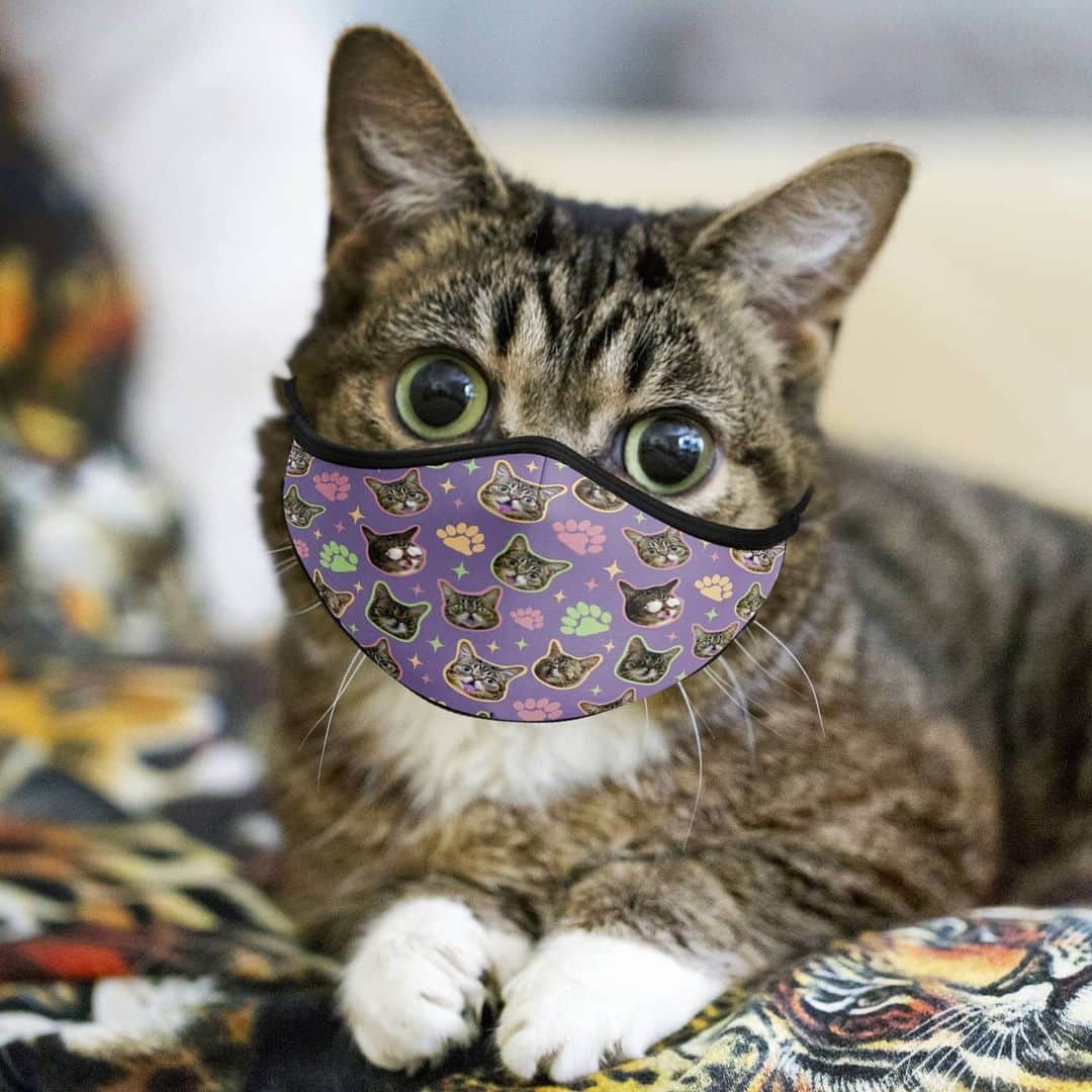 Lil BUBさんのインスタグラム写真 - (Lil BUBInstagram)「Lil BUB Face Masks are ALL 50% Off, and everything else is at least 35% off at the link in our bio. *face masks are for humans only (duh)*  A portion of all proceeds benefit Lil BUB’s Big FUND for special needs pets. #bestjobbub #giftofbub」12月30日 1時42分 - iamlilbub