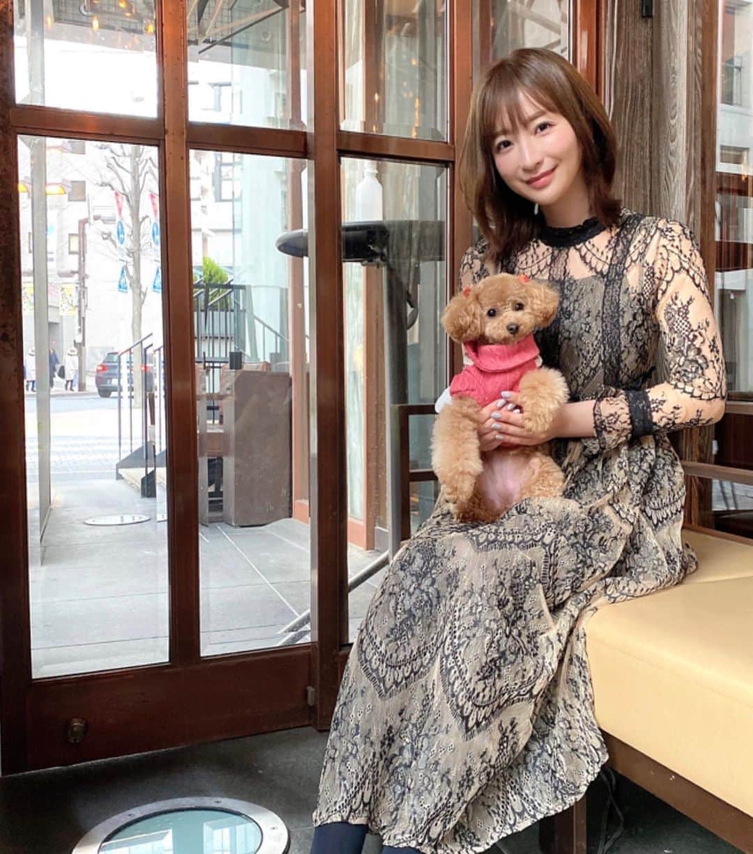 のインスタグラム：「一目惚れした悠里さん @yuurimorishita プロデュースのワンピを来て🥺💗 ドストライクで絶対クリスマスに着たい❗️と前から目をつけていたんです😎✨勿論それ以外でも大活躍🥰レースの透け感が綺麗でお気に入りです❤️愛犬くららと一緒に🐶💗 @starlabelofficialshop」