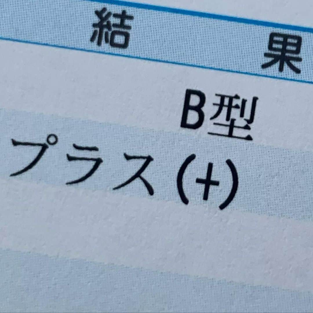 鹿の間さんのインスタグラム写真 - (鹿の間Instagram)12月29日 17時59分 - rhodon41