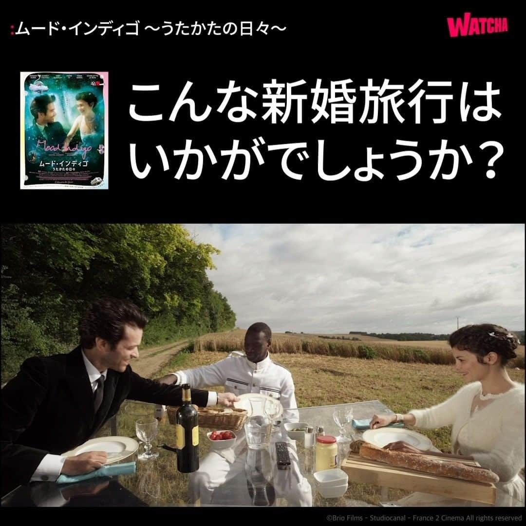 WATCHA(ウォッチャ) / 映画、ドラマ、アニメのインスタグラム