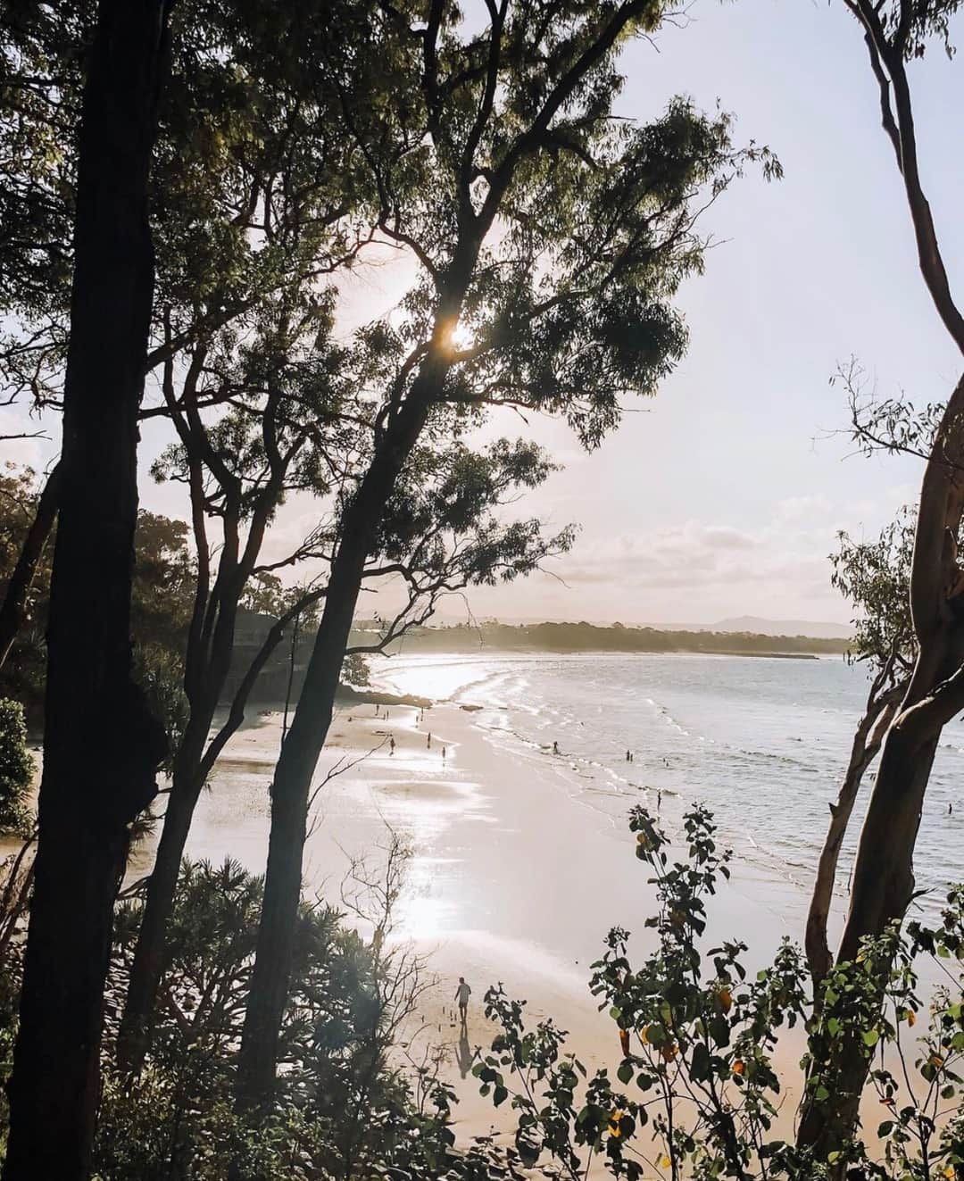 The Horseさんのインスタグラム写真 - (The HorseInstagram)「📍 Noosa National Park ⠀⠀⠀⠀⠀⠀⠀⠀⠀ Via @screative.co」12月29日 18時00分 - the_horse