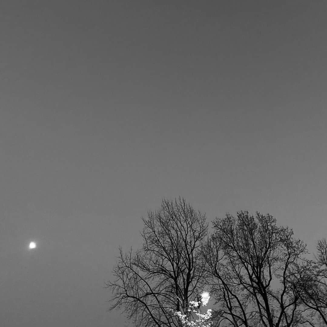 板谷由夏 さんのインスタグラム写真 - (板谷由夏 Instagram)「月が」12月29日 18時05分 - yukaitaya
