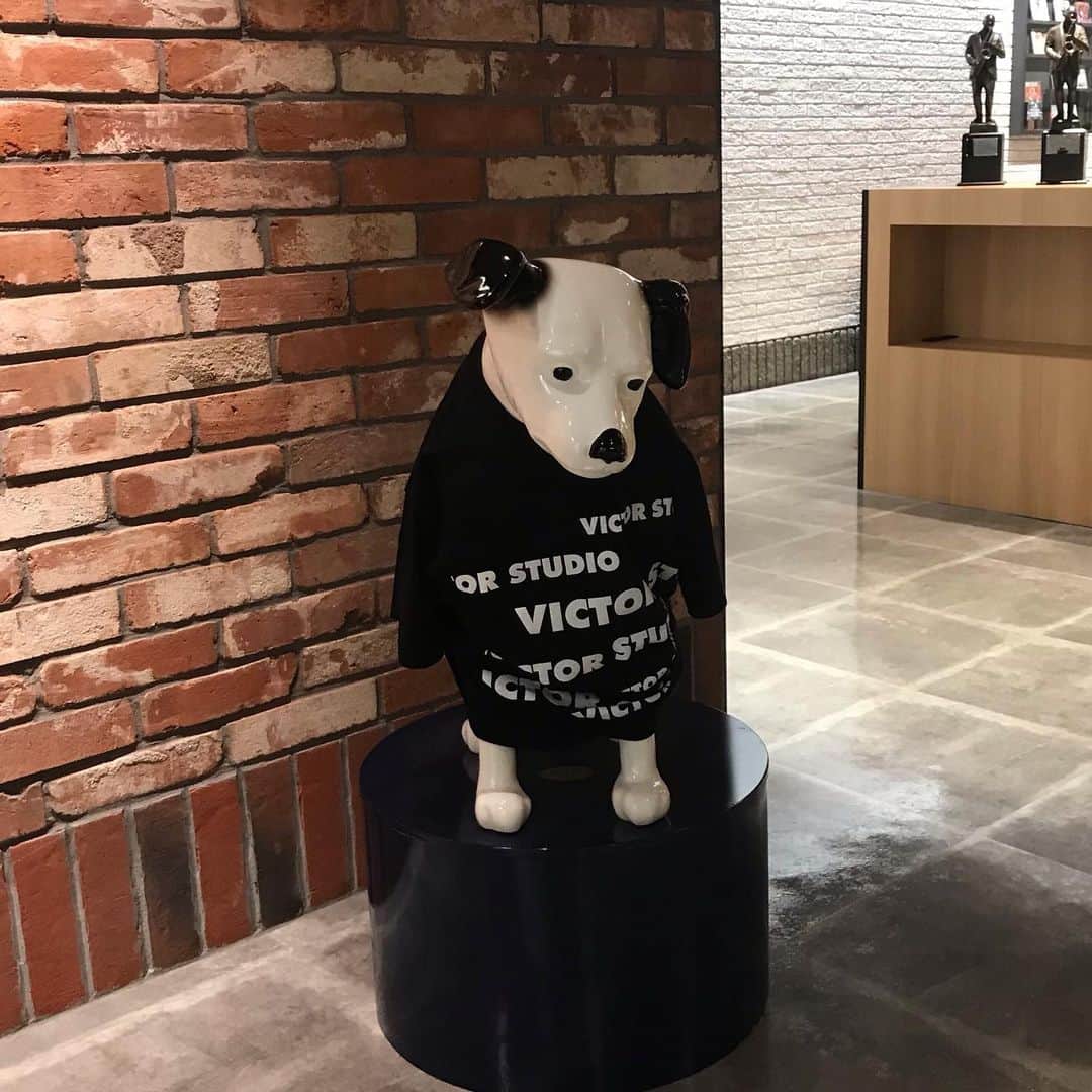 金戸覚のインスタグラム：「着こなしのせいか、ちょっとブルーに見えるな。」