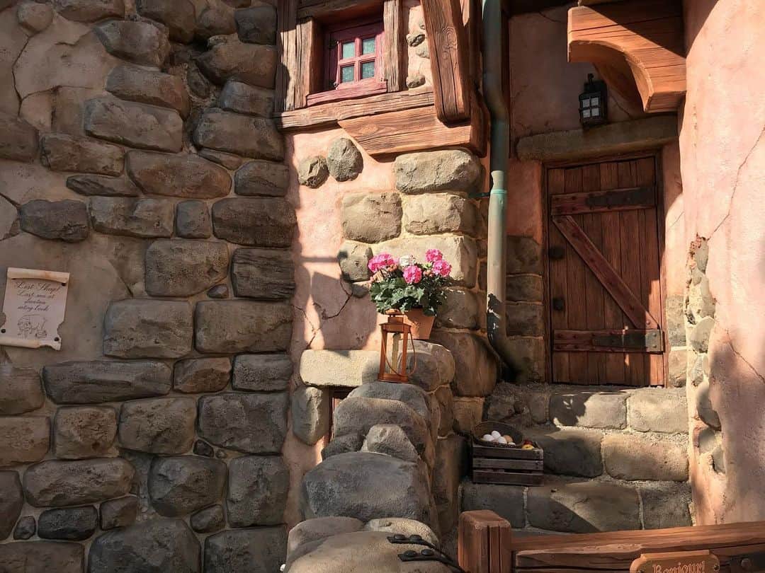 石川結菜のインスタグラム：「🐭❤︎🏰 . . 美女と野獣エリアとても素敵だった！」