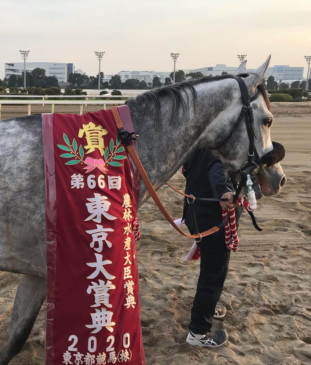 横山ルリカさんのインスタグラム写真 - (横山ルリカInstagram)「. フジテレビ，BSフジ， 【東京大賞典2020】完全生中継ありがとうございました👑 ミルコ・デムーロ騎手騎乗の オメガパフュームが史上初の3連覇を達成🎉🎉🎉 史上初の快挙に次ぐ快挙に沸いた、今年らしい締めくくりに😆👏 昨年に続き、今年もデムーロ騎手に勝利ジョッキーインタビューをさせていただけてとても嬉しかったです🌟 . #東京大賞典 #史上初 #3連覇 #オメガパフューム #ミルコデムーロ 騎手 #安田翔伍 調教師 #おめでとうございます #大井競馬場 #TCK」12月29日 19時21分 - rurika_yokoyama_official