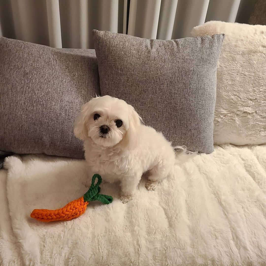 ソヒョンさんのインスタグラム写真 - (ソヒョンInstagram)「Fluffy baby🤍」12月29日 19時39分 - seojuhyun_s