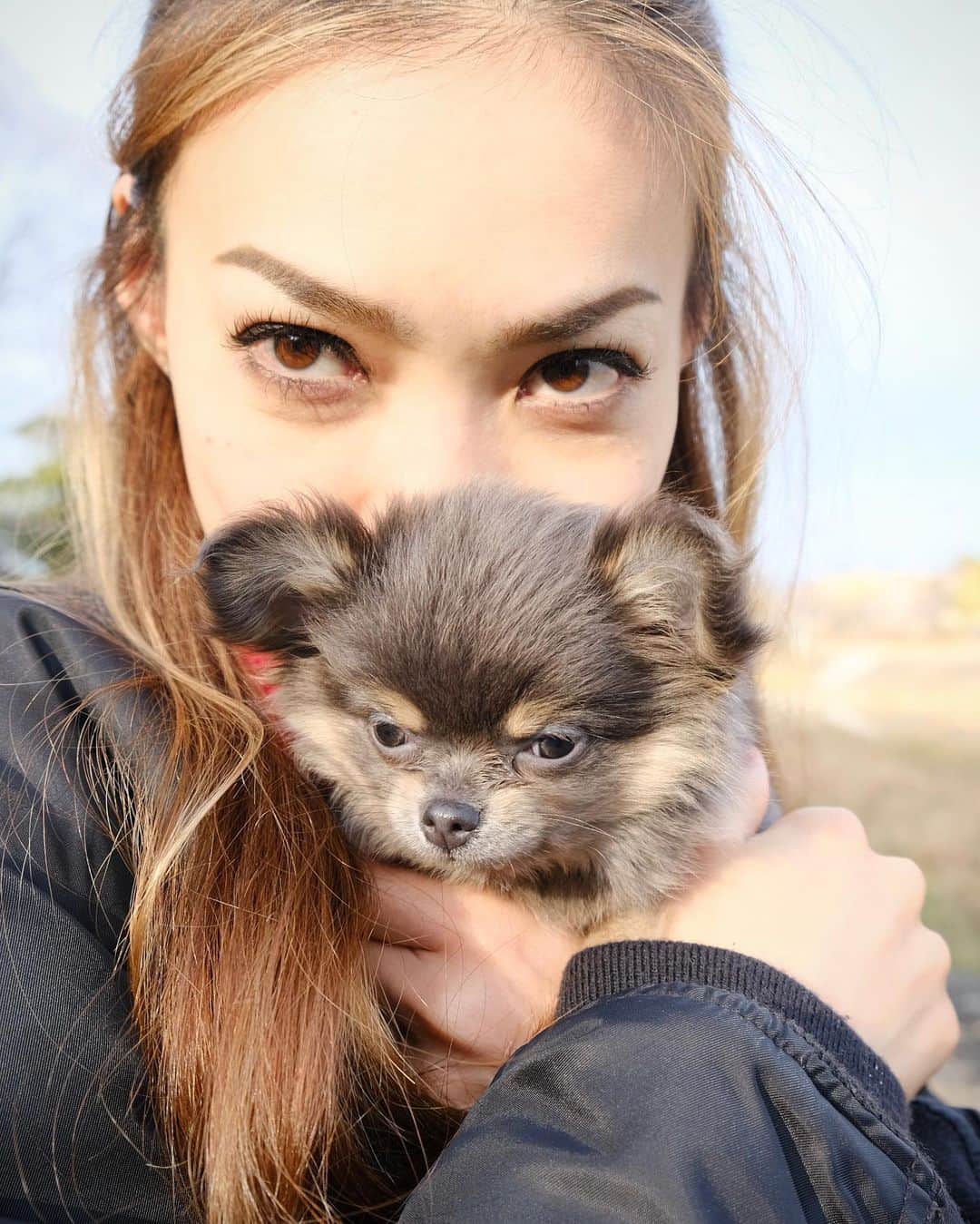 美馬寛子のインスタグラム：「My little bear 🐶  . . . . . . #japan #chihuahua #dog #dogsofinstagram #puppy #love #instadog #bluechihuahua #dogs #puppygram #puppylove #kyoto #doggo #bestwoof #doglover #puppylife #dogoftheday #fujifilm #fujifilm_xseries #photography」