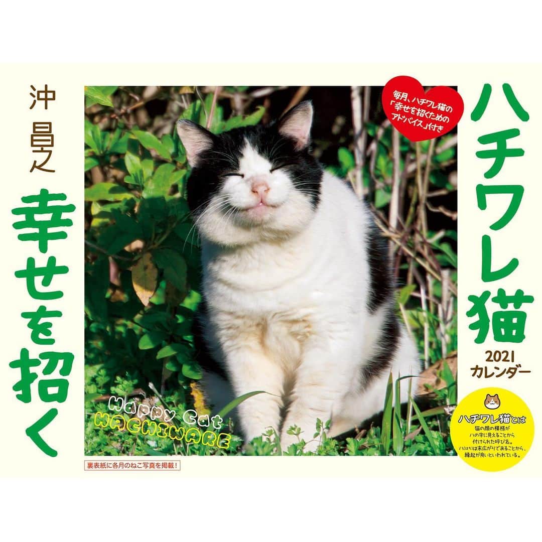 Masayukiさんのインスタグラム写真 - (MasayukiInstagram)「毎月「幸せを招くためのアドバイス」がついてくる！  2021　幸せを招くハチワレ猫　壁掛けカレンダー ￥1,320 サイズ:34cm×26cm   ※　instagramの投稿の都合で上下左右の余白を多めにとっている写真もあります。  （すべての写真） 実際の商品には余白はつきませんのでお気を付けくださいませ。  お気に召すようでしたら、全国の書店やアマゾンなどのオンライン書店にてご注文くださいませ。  ※ 2021年は5種類。」12月29日 20時06分 - okirakuoki