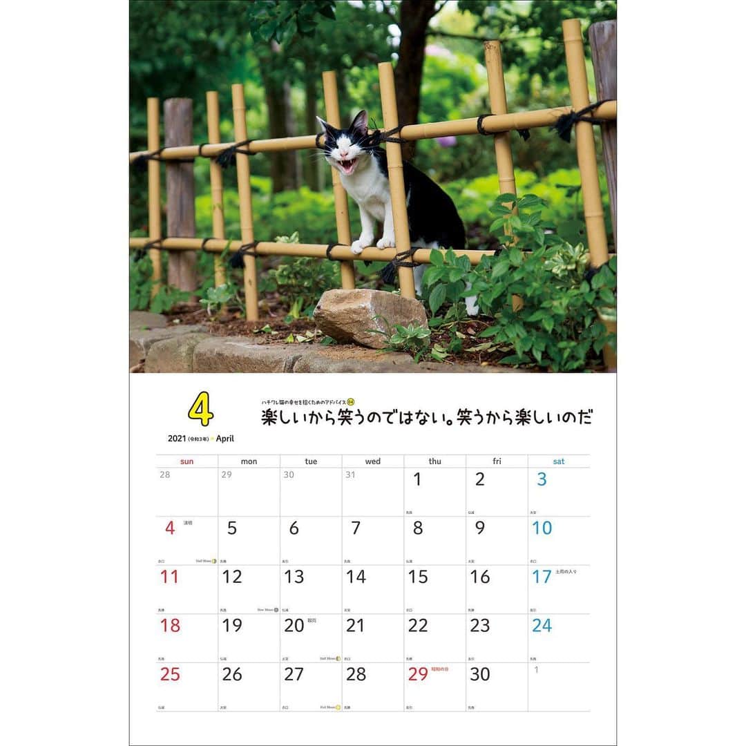 Masayukiさんのインスタグラム写真 - (MasayukiInstagram)「毎月「幸せを招くためのアドバイス」がついてくる！  2021　幸せを招くハチワレ猫　壁掛けカレンダー ￥1,320 サイズ:34cm×26cm   ※　instagramの投稿の都合で上下左右の余白を多めにとっている写真もあります。  （すべての写真） 実際の商品には余白はつきませんのでお気を付けくださいませ。  お気に召すようでしたら、全国の書店やアマゾンなどのオンライン書店にてご注文くださいませ。  ※ 2021年は5種類。」12月29日 20時06分 - okirakuoki