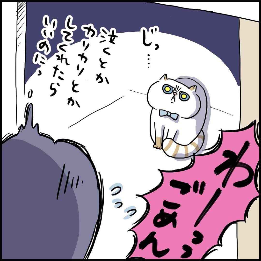 うえだしろこさんのインスタグラム写真 - (うえだしろこInstagram)「ただひたすらドアの前で開くのを待つ猫。 ・ ごめんったら・・・！ ・ ・ ブログ更新してます😆 ・ 「星になれたら⭐️①」 ・  ストーリーズからぜひみてね〜😍 ・ ・ #育児漫画 #育児日記 #育児絵日記 #コミックエッセイ #ライブドアインスタブロガー」12月29日 20時36分 - shiroko_u