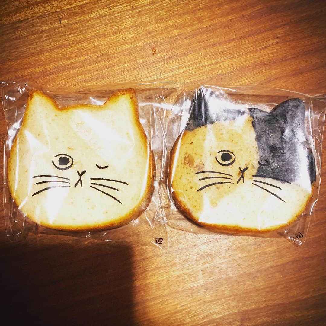 猫井椿のインスタグラム：「ダブルねこねこパン！  Two pieces of cat bread」