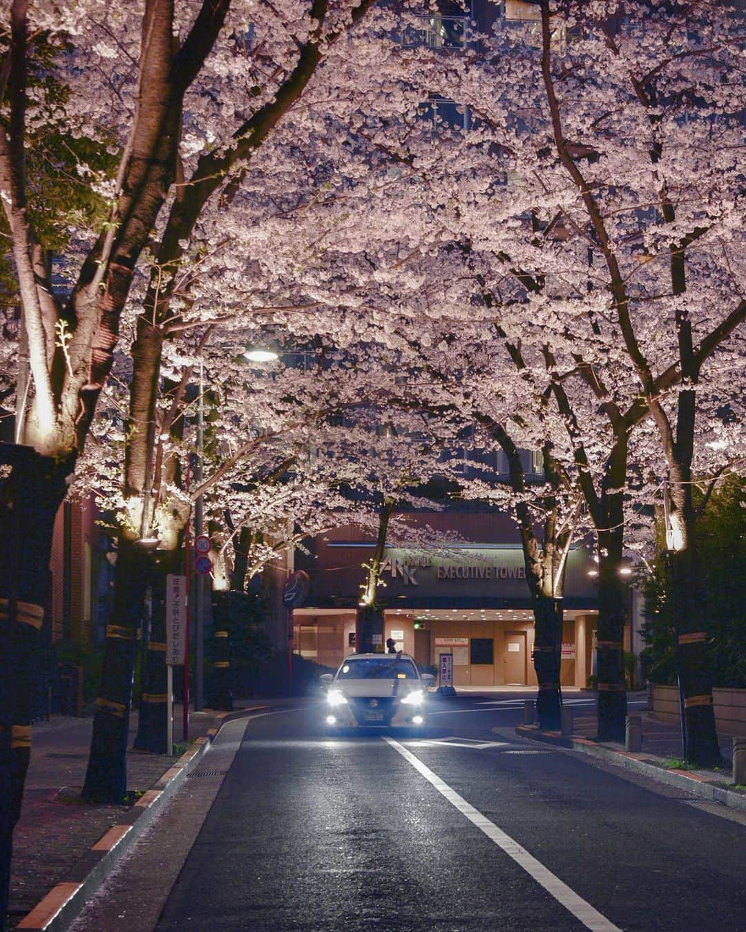 masayaのインスタグラム：「ARK Hills Tokyo April 過去picを再現像」