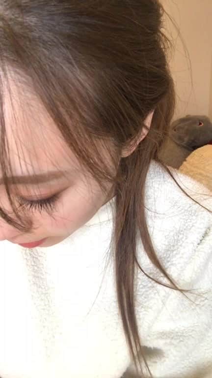 白岩まちこのインスタグラム