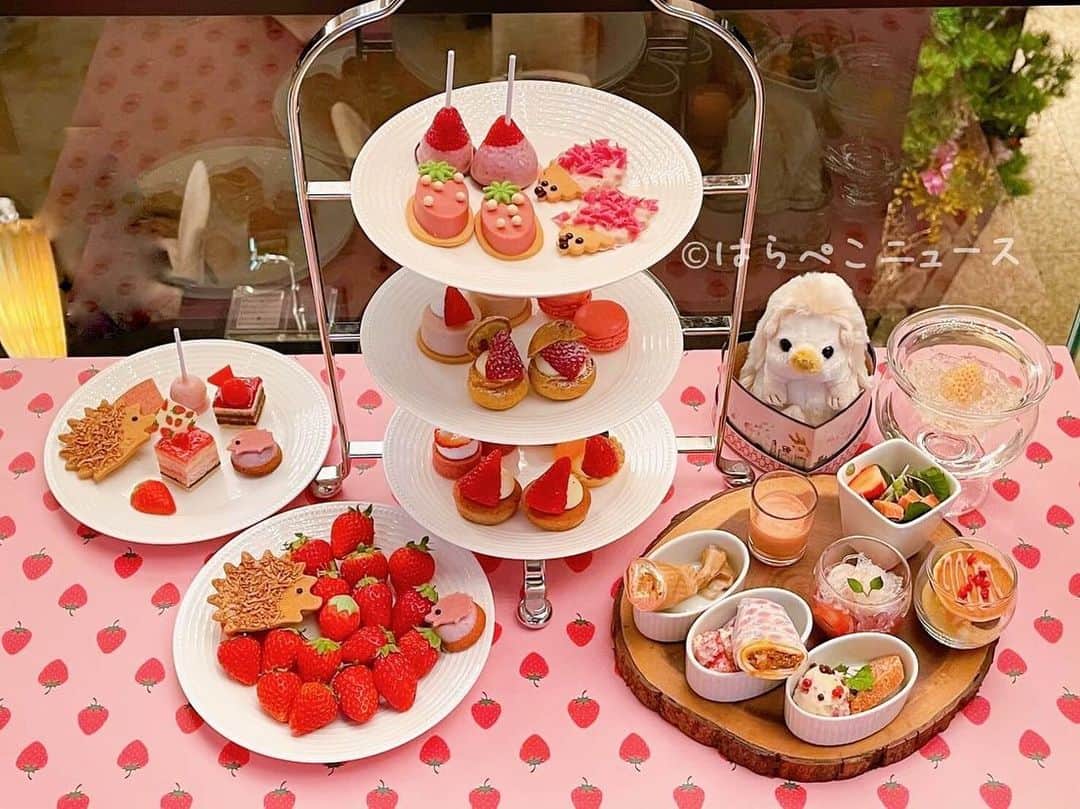 野山苺摘（グルメライター・グルメ探偵）のインスタグラム：「🍓いちごテロ🍓﻿ ﻿ ANAインターコンチネンタルホテル東京﻿ 「シャンパンバー」﻿ ﻿ 🍓いちごビュッフェ×ハリネズミ🦔﻿ ﻿ 「ストロベリー・スイーツブッフェ」﻿ 2020年12月28日〜2021年5月31日﻿ ﻿ 3種のフレッシュいちご食べ比べに、ルビーチョコレートのスイーツ、ホワイトストロベリーを使ったウエルカムスイーツも登場！﻿ ﻿ 詳しい実食レポートは⬇️ https://harapeco.news/anaintercontinental-tokyo10/﻿ ﻿ 🍓🍓🍓🍓🍓🍓🍓🍓🍓🍓🍓🍓🍓🍓🍓﻿ ﻿ #いちご #苺 #イチゴ #いちごテロ ﻿ #飯テロ #食レポ #いちごスイーツ﻿ #グルメライター  #いちごライター﻿ #strawberry #いちごライター #ビュッフェ ﻿ #スイーツ #ハリネズミ #ハリネズミビュッフェ﻿ #ANAインターコンチネンタルホテル東京﻿ #いちご集め #🍰 #🍓 #シャンパンバー﻿ #いちごビュッフェ #ANA #白いちご﻿ #ストロベリースイーツブッフェ﻿ #ストロベリーブッフェ #ルビーチョコレート﻿ #スイーツブッフェ #デザートビュッフェ﻿ #オーダービュッフェ #溜池山王﻿ ﻿ 🍓🍓🍓🍓🍓🍓🍓🍓🍓🍓🍓🍓🍓🍓🍓」