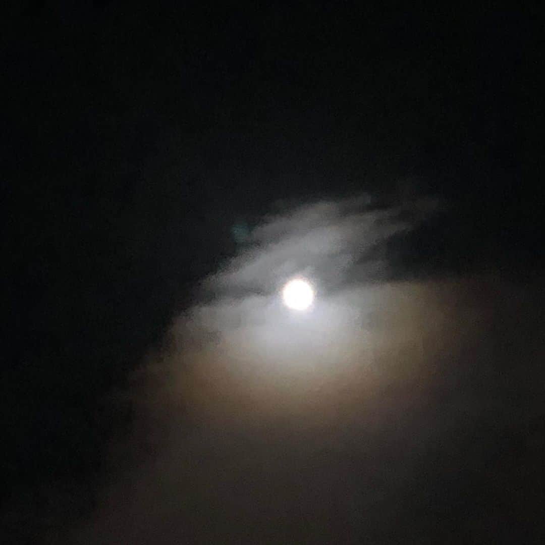 石川亜沙美のインスタグラム：「今日の夜散歩🚶‍♀️ 優しい月の光に包まれて✨　 ・ 帰ってきてから 熟したらバナナ🍌で またまた バナナのパウンドケーキを💪 お家にあった (カシュナッツ&クリームチーズ入り) 明日の朝に ☺️美味しくいただきます🙏 ・ ・ #夜散歩 #夜空 #お月さま #2020.12.29 #goodnight  #🌕」