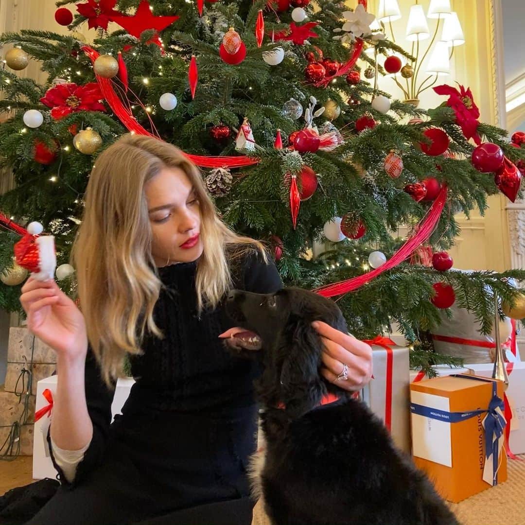 ナタリア・ヴォディアノヴァのインスタグラム：「Trying to teach Coffee to pose 😅🎄🐕‍🦺😍 teaching by example...does that work with dogs?! 😝😂🙈❤️ Пытаюсь учить Кофе как позировать. пока безуспешно 😂 Долго пыталась надеть на неё шапочку, и даже показывала на себе, но Кофе только съела все лакомства и шапочку чуть тоже не съела...🤣🤣😋🐕‍🦺🥰❤️」